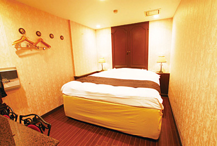 「ホテル エルミタージュ田名」205号室 内装1