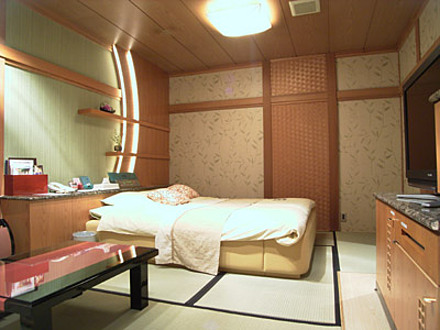 「HOTEL SHIRAKABA」209号室 内装1
