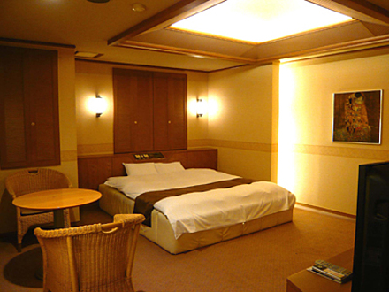 「HOTEL EXリゾート金沢」308号室 内装1