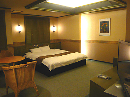 「HOTEL EXリゾート金沢」207号室 内装1