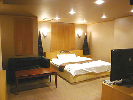 「HOTEL EXリゾート金沢」301号室 内装1