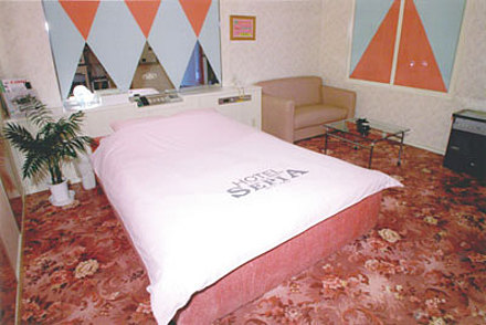 「ホテル SEPIA」201号室 内装1